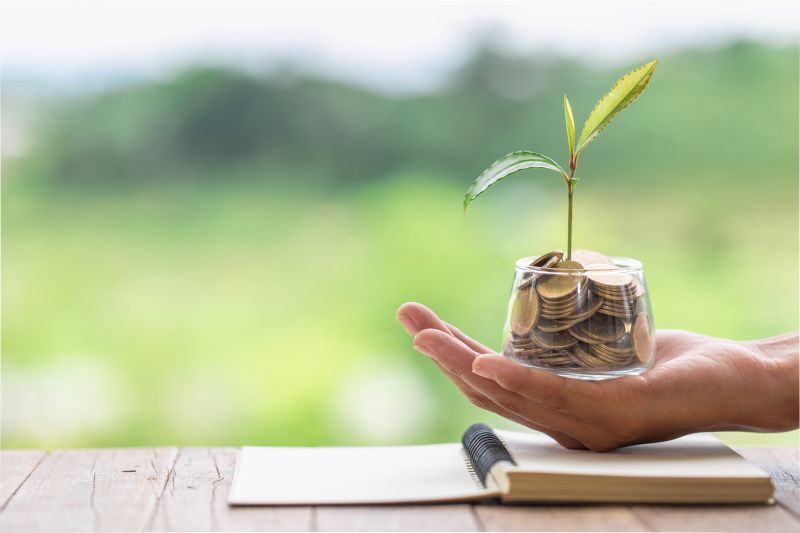 Acciones y Valores lanzó Fore, primer fondo de capital ambiental en bonos de carbono