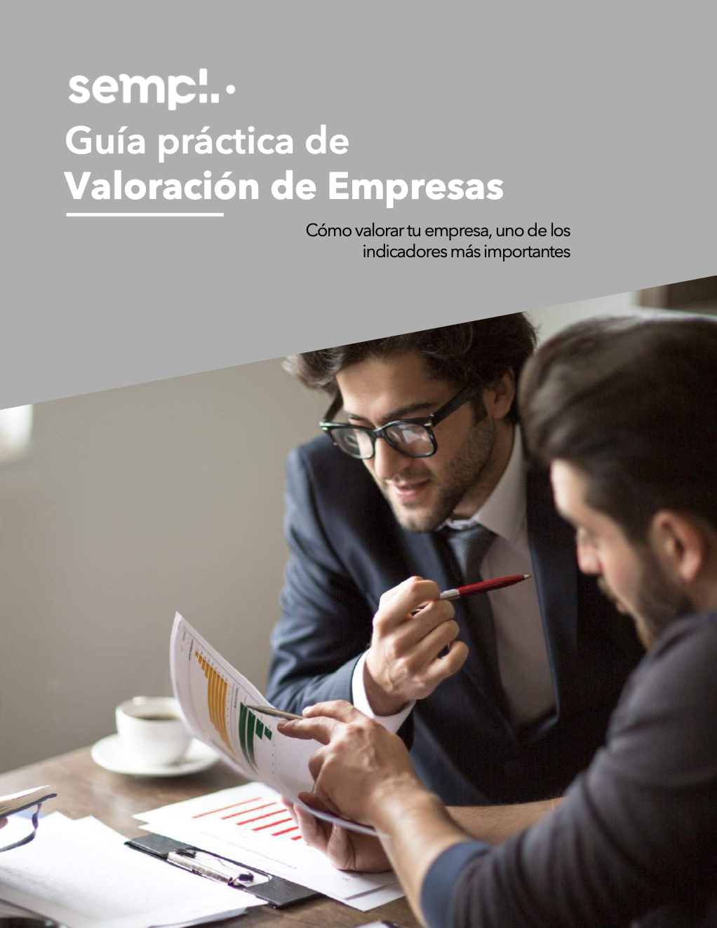 Guía práctica de Valoración de Empresas