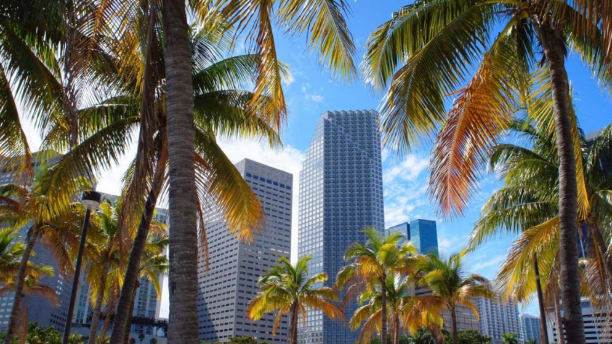 Miami tendrá su propia criptomoneda: ‘MiamiCoin’